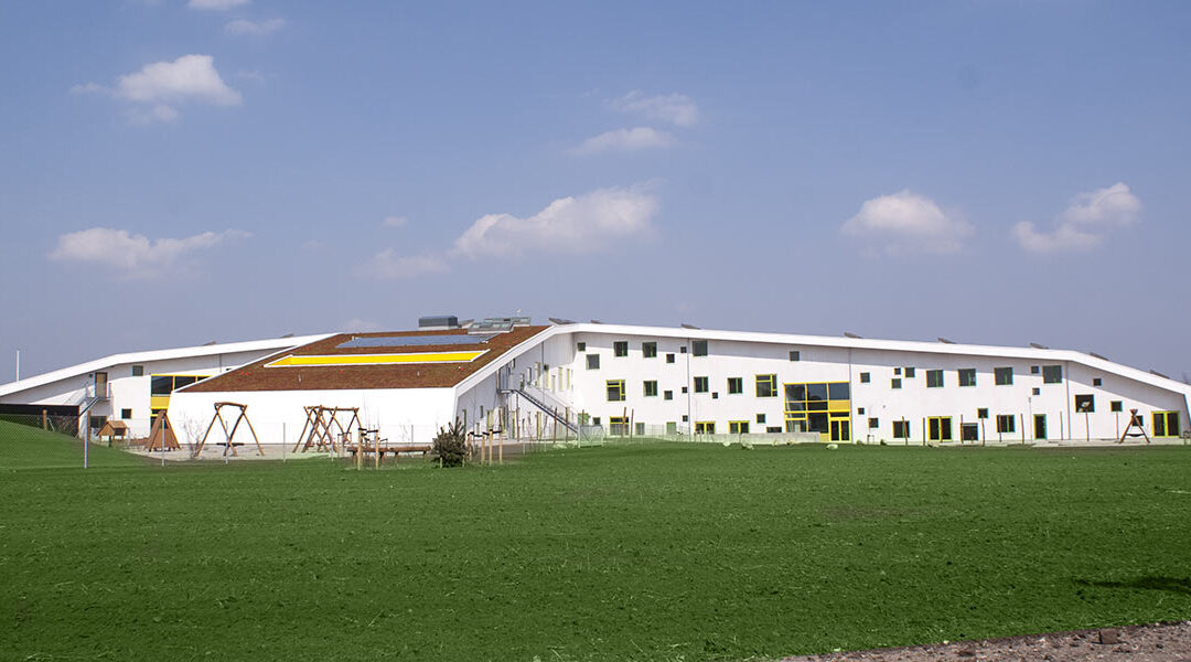 Opførelse af skole- og daginstitutions bygning